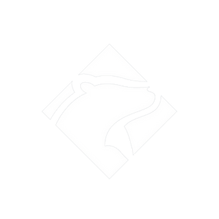 Partner-Logo